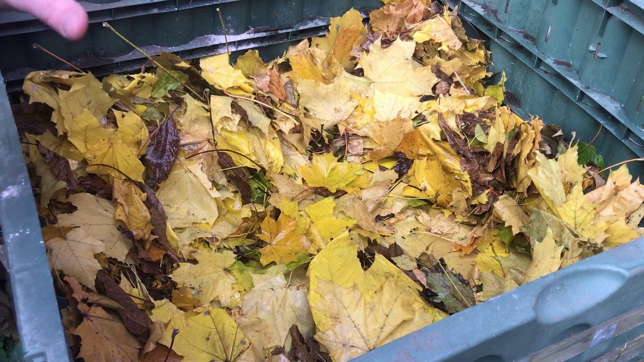 Приготування компосту з листя.