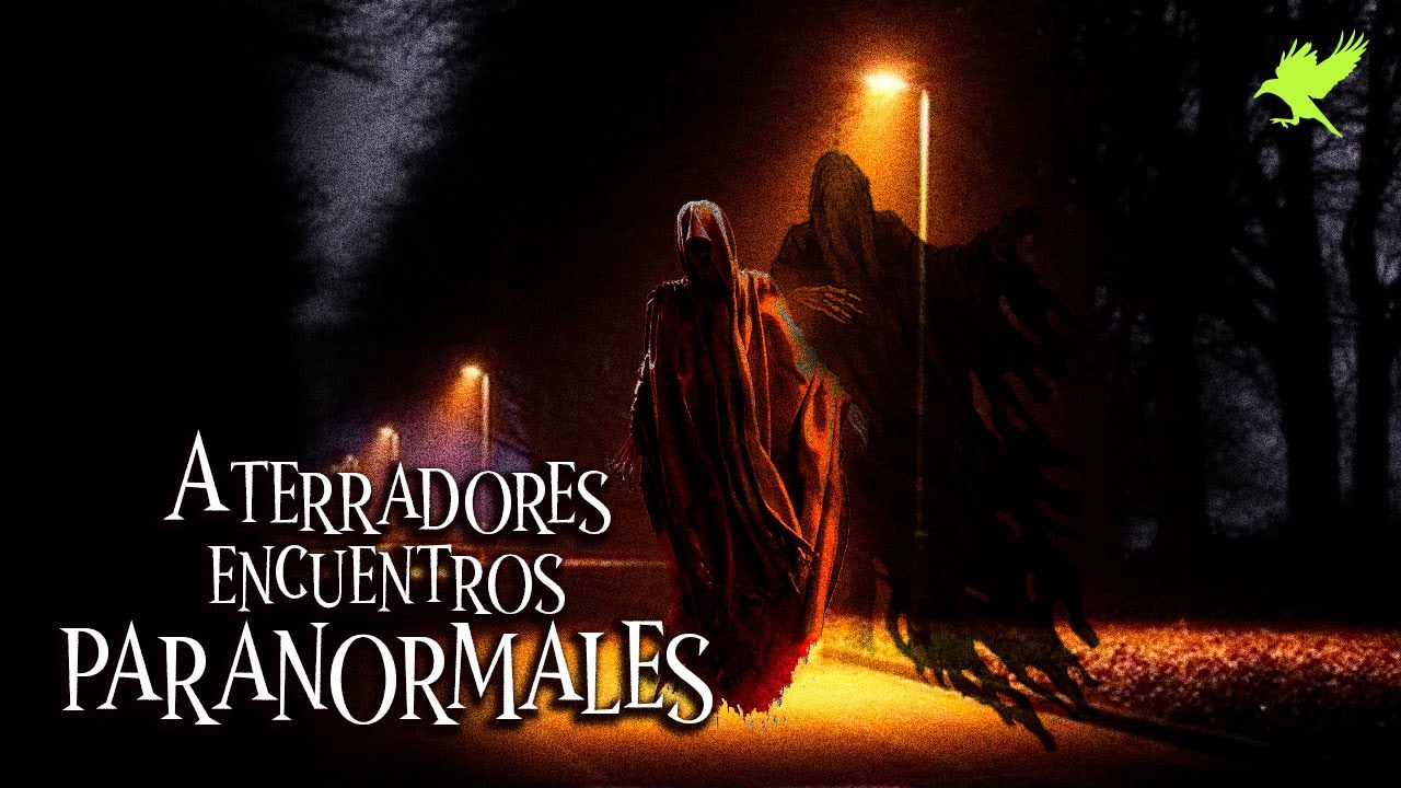 EL EXTRAÑO ENTE SOMBRA Y OTROS RELATOS DE TERROR | Historias de terror | Gritos en la noche
