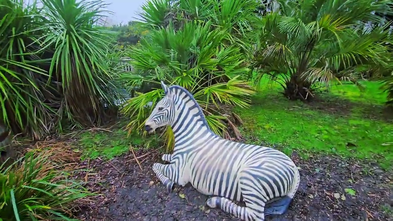 Jungle Paradise Adventure Golf Chichester. 