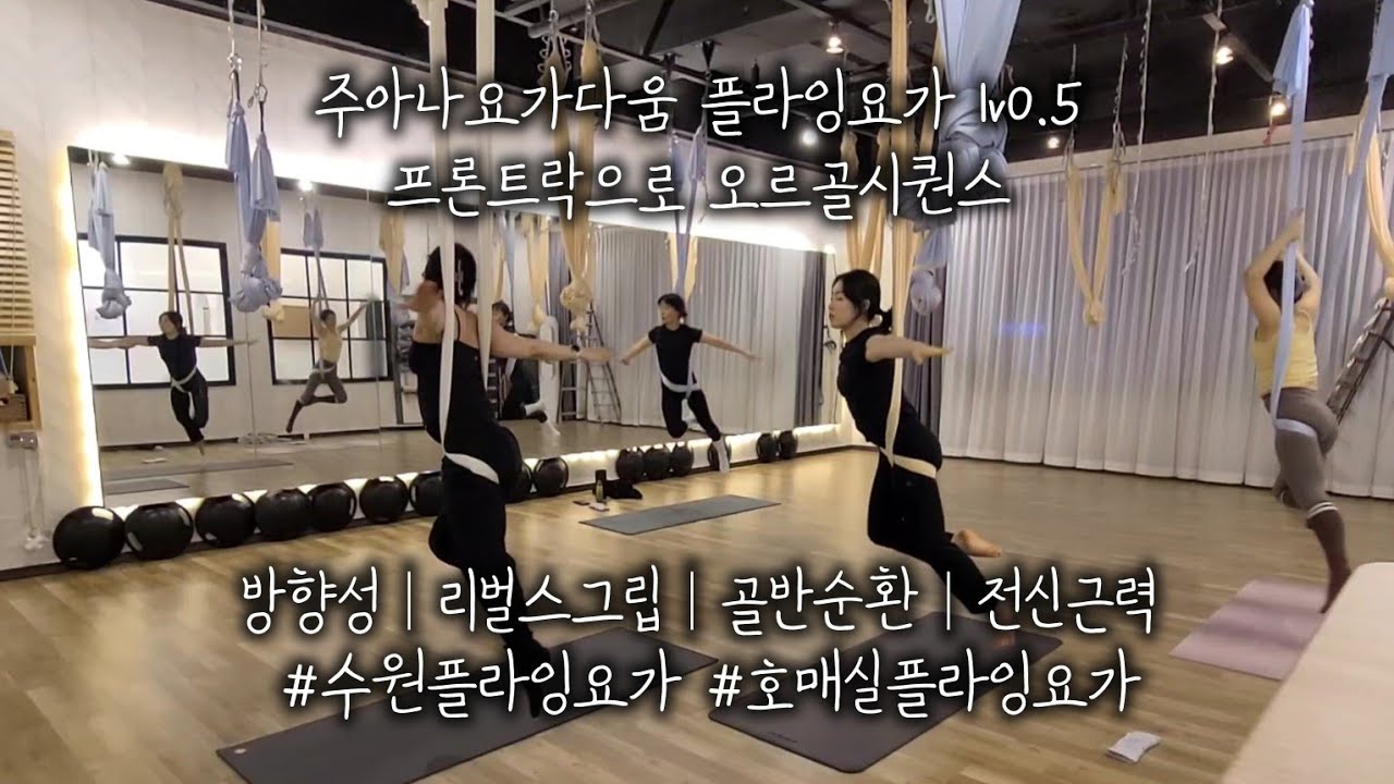 주아나요가다움 플라잉요가 lv0.5 프론트락으로 오르골시퀀스 : 방향성│리벌스그립│골반순환│전신근력 #수원플라잉요가 #호매실플라잉요가