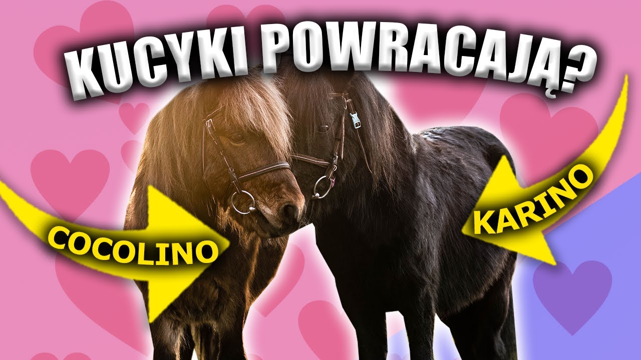 WIĘCEJ KONI NA STAJNI?! - REAKCJA KONI NA PRZYJAZD KUCYKÓW 😱