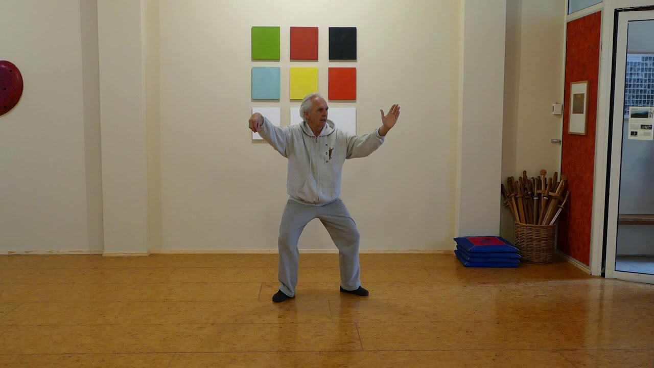 Moritz Dornauf: Tai Chi Wu Stil 2