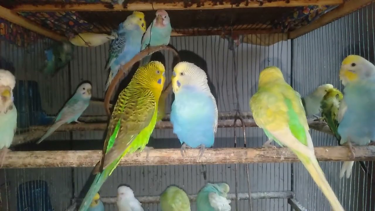 小さな命が教えてくれる優しい時間