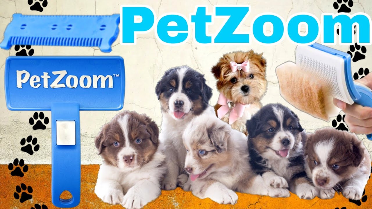 PetZoom Cepillo Deslanador Y Cortador De Pelo De Perro ¡ Pongámoslo A Prueba ! 🐕