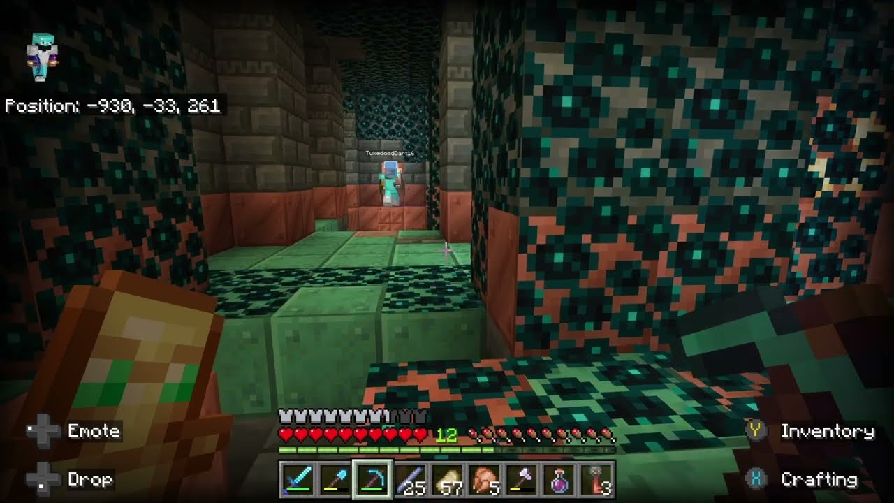trial chamber warden idk