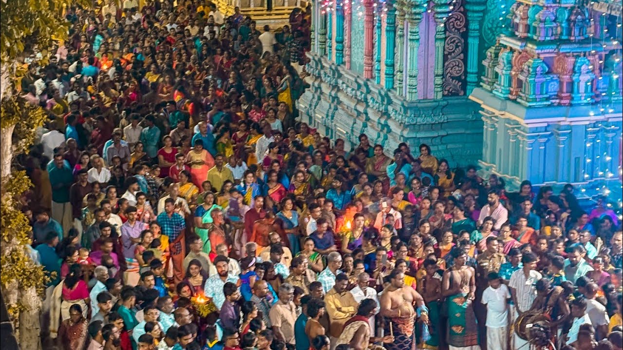 திருகோணமலை காளி கோயில் மஞ்சம் | Trincomalee Sri Pathrakaali amman kovil festival 2025 |Shen Vlogs