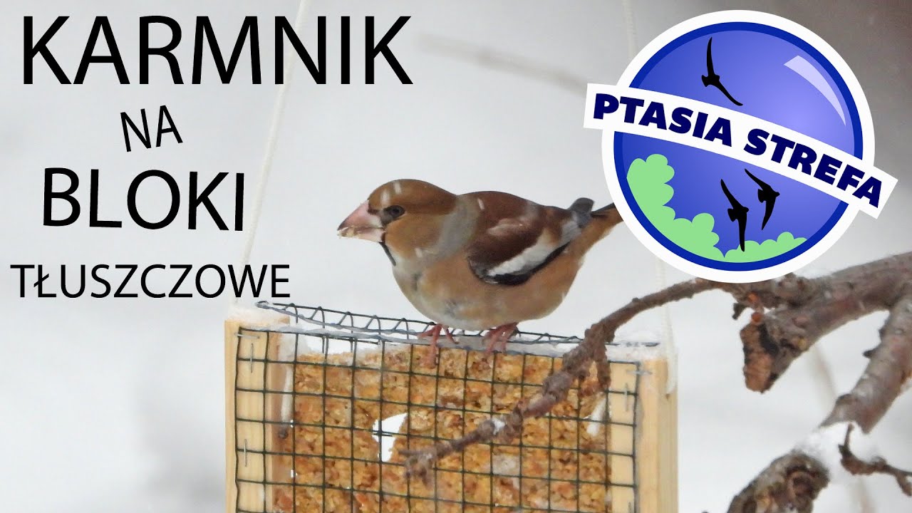 Karmnik na bloki tłuszczowe