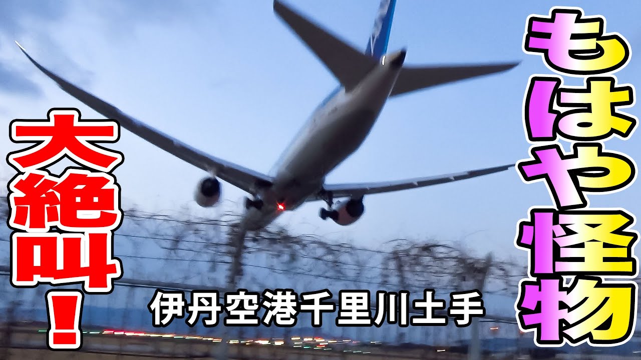 【大絶叫】70m超の巨大飛行機B777-300が千里川土手の直上を低空飛行してきて大騒ぎ！！