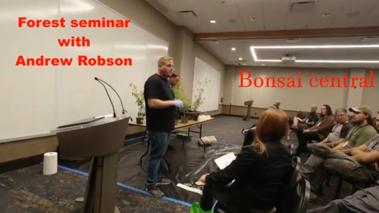Andrew Robson Forest seminar bonsai central 2024