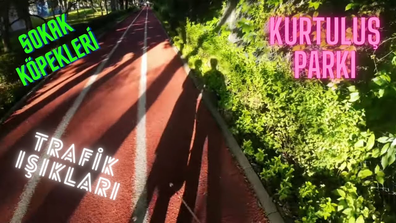 Trafik Işıkları, Kuş Cıvıltıları, Sokak Köpekleri ve Seslerle Ankara’nın Kalbi Kurtuluş Parkı