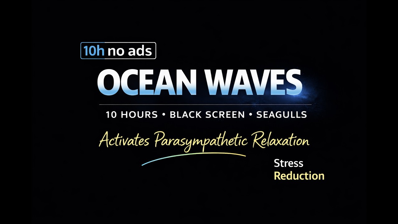 Ocean Waves & Seagulls 10h | Black Screen | Calm Sleep