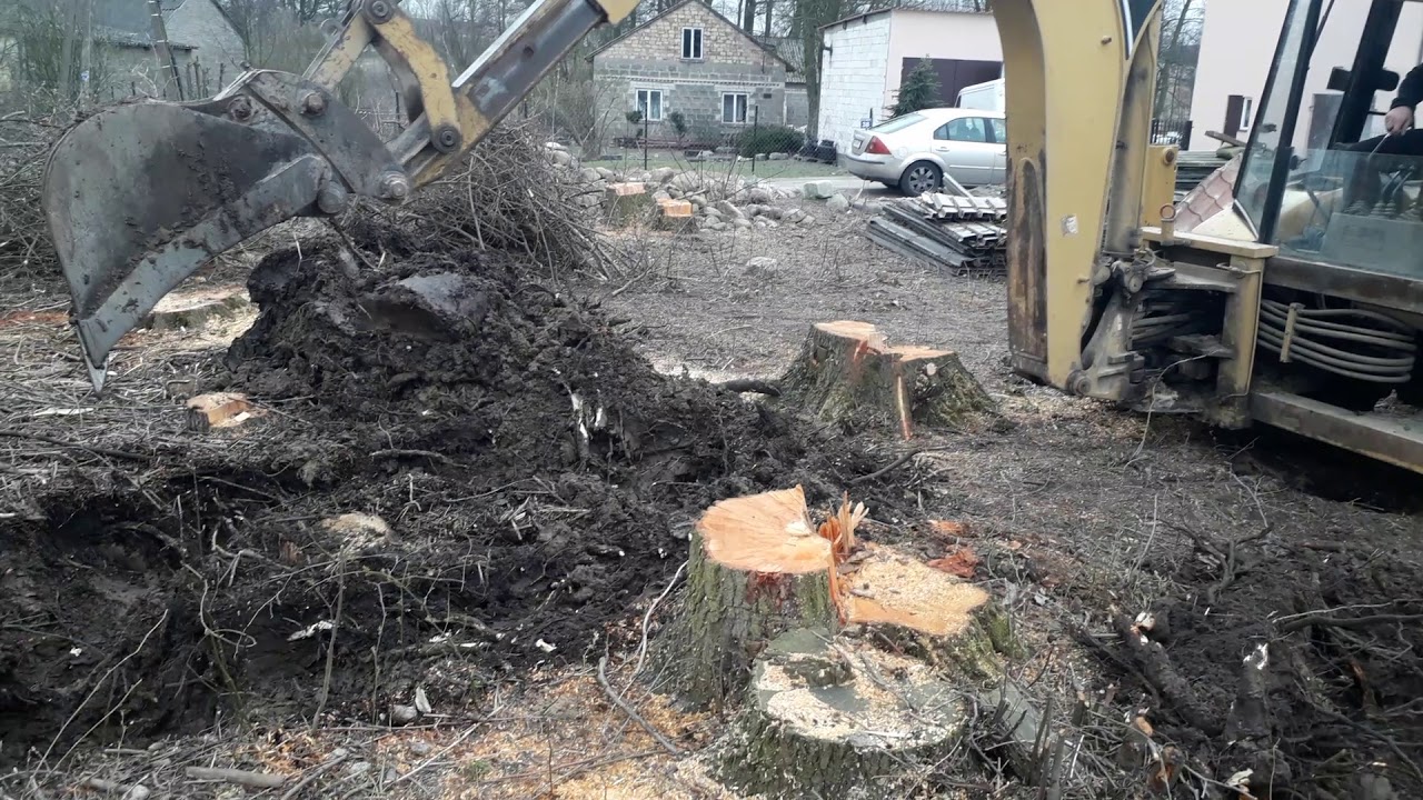 Cat 428c męczy się z karpami