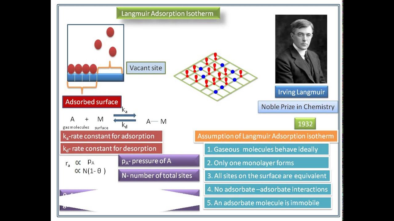 Langmuir adsorption isotherm derivation animation video /12 CHEMISTRY/B.Sc /M.Sc Chemisrey