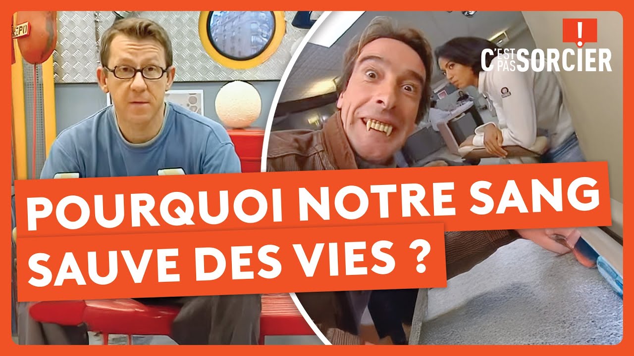 Pourquoi notre sang sauve des vies ? - C'est pas sorcier