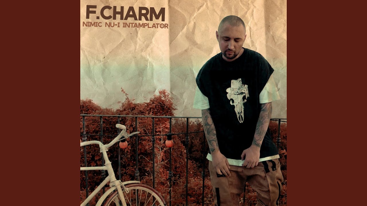 Nimic Nu-I Intamplator