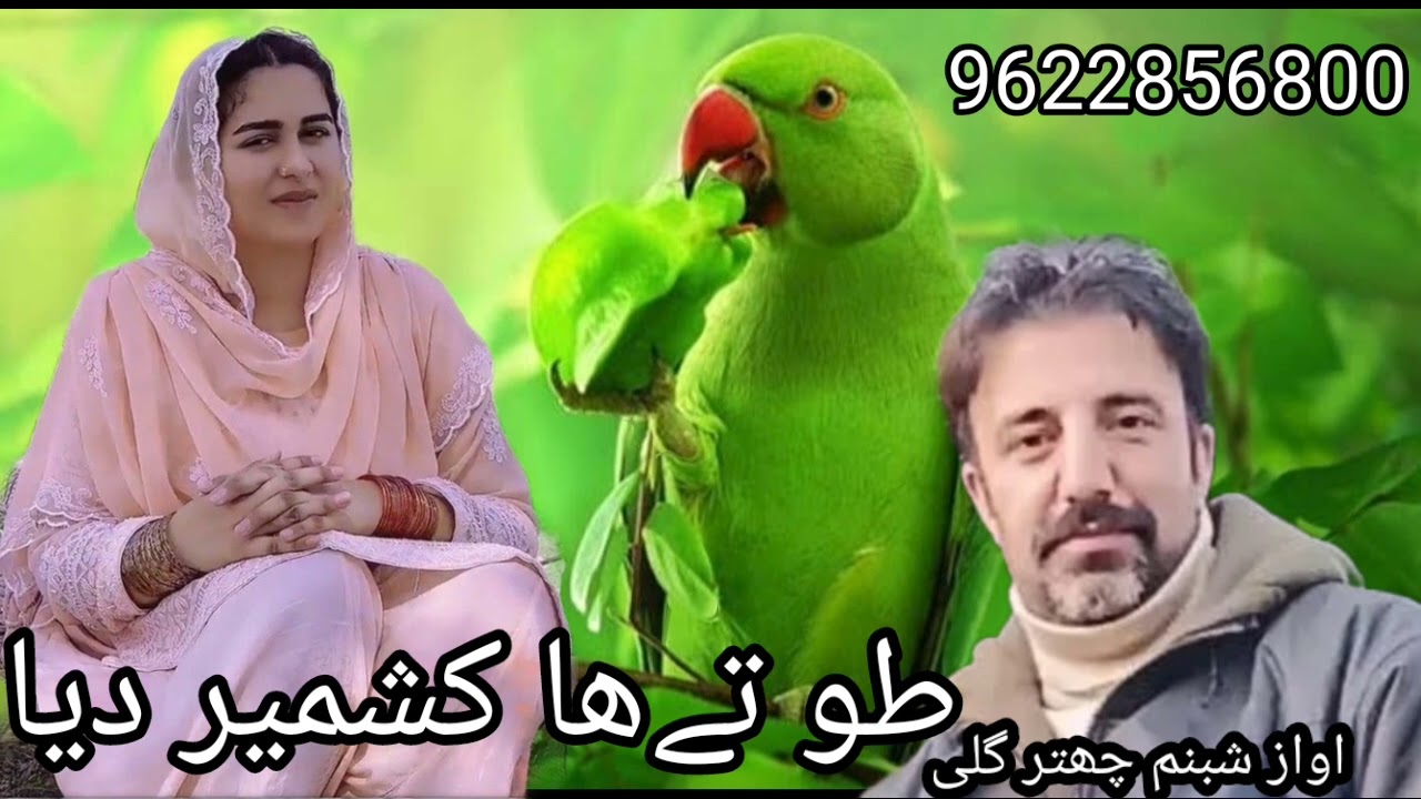 طوتے ہا لولاب دیا ایسا گیت اپ نے کبھی نہیں سنا ہوگا پہاڑی گوجری پنجابی سونگ چنل کو لائک شعر سبسکرائب