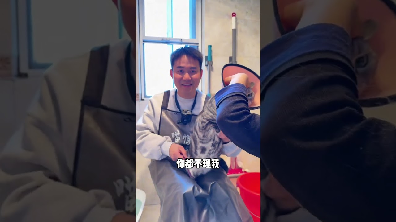 Year-Old Kitten's First Bath: A Hilarious Showdown