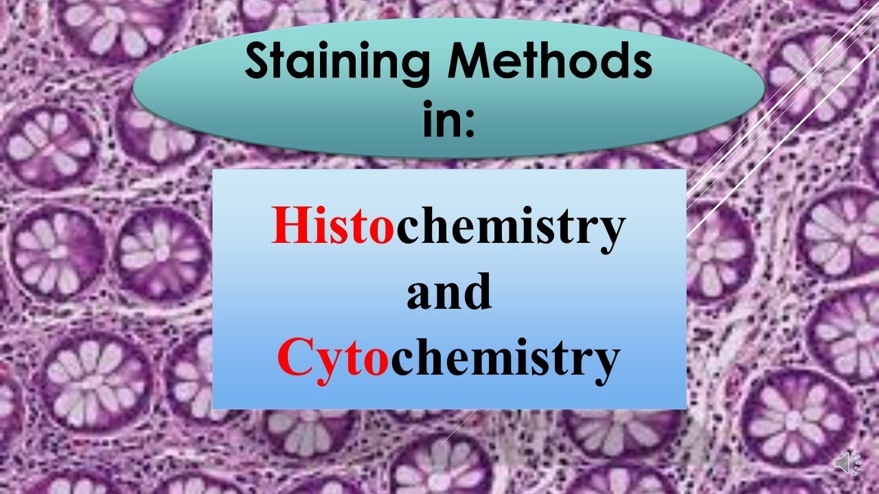 Cell Biology: Staining Methods (Exemple of Wet Mount and Paraffin)