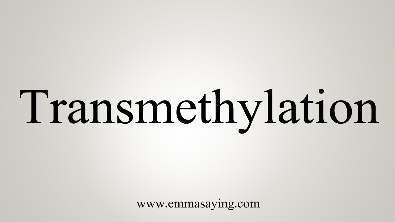 How To Say Transmethylation