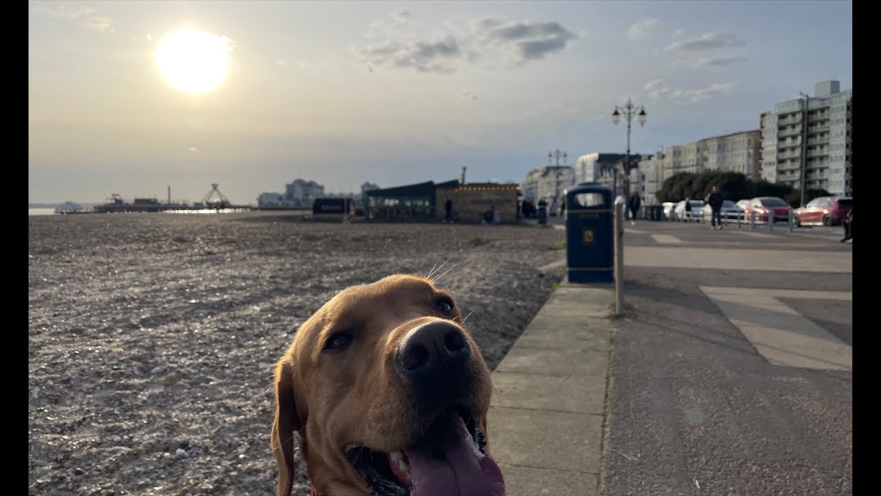 Stripey’s Live: Portsmouth and a little bit of Illegal migrants!