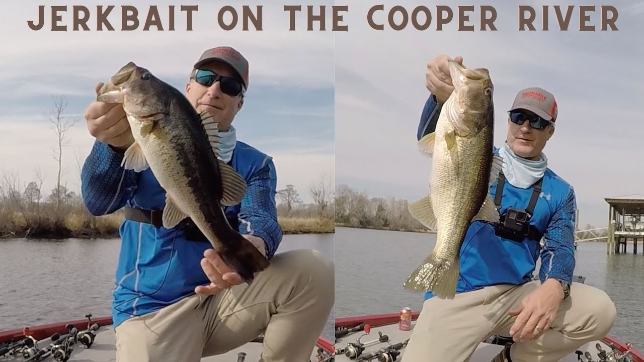 Jerkbait on the Cooper River