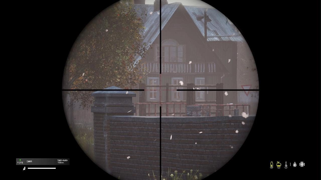 DayZ