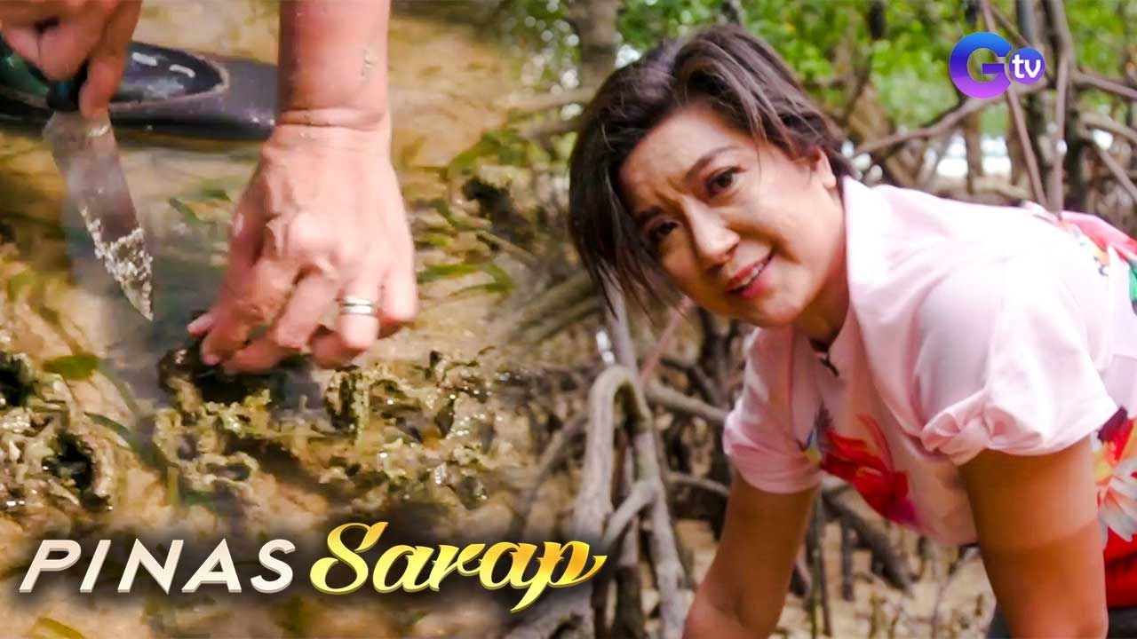 Kara David, napasabak sa paghahanap ng seashells sa Negros Occidental | Pinas Sarap