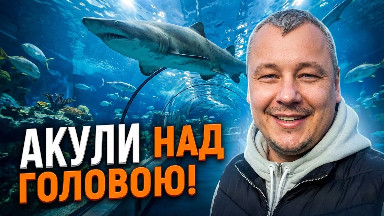 Barcelona Aquarium Experience 🇪🇸 | Sharks, Penguins & Ocean Life