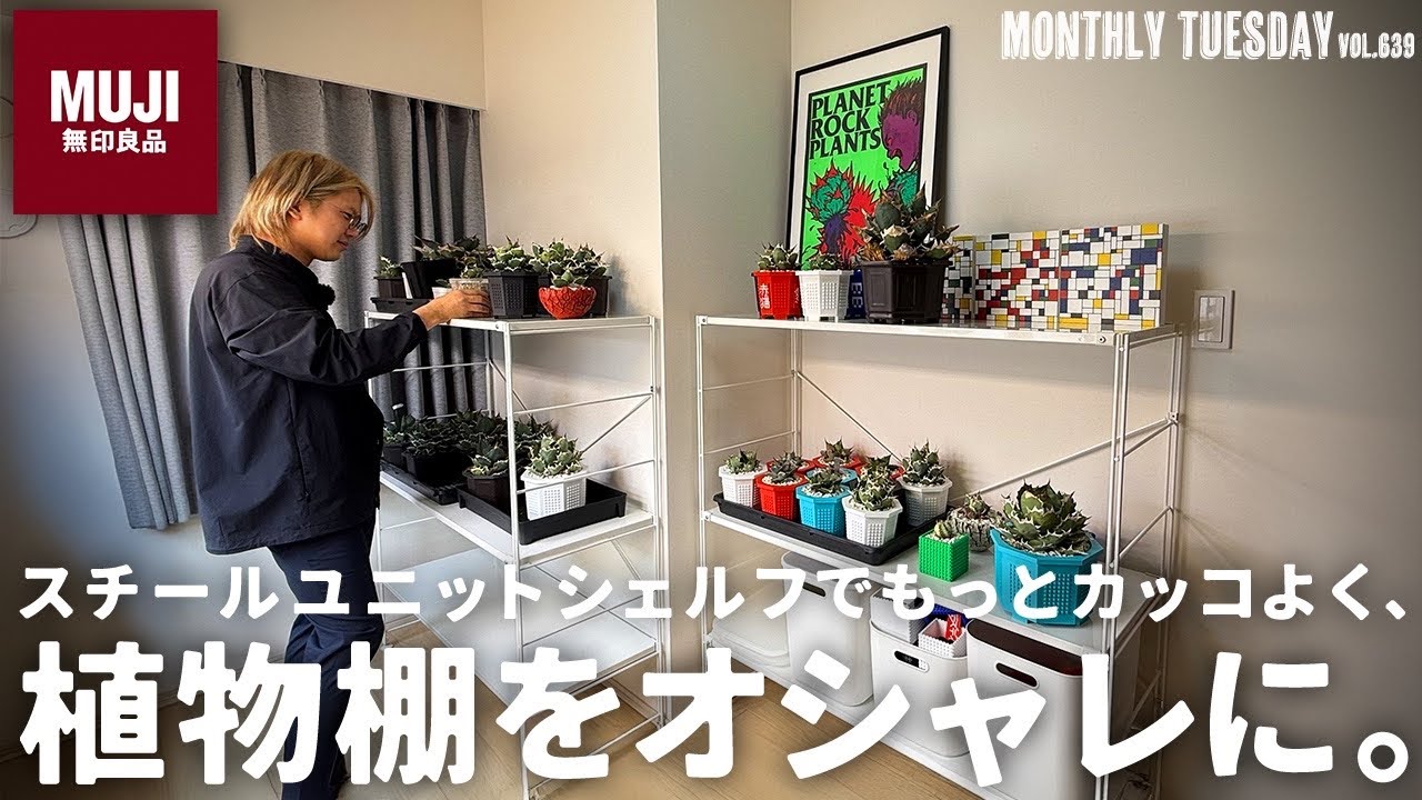 【植物棚】無印良品のスチールユニットシェルフでアガベの植物育成棚を作る！