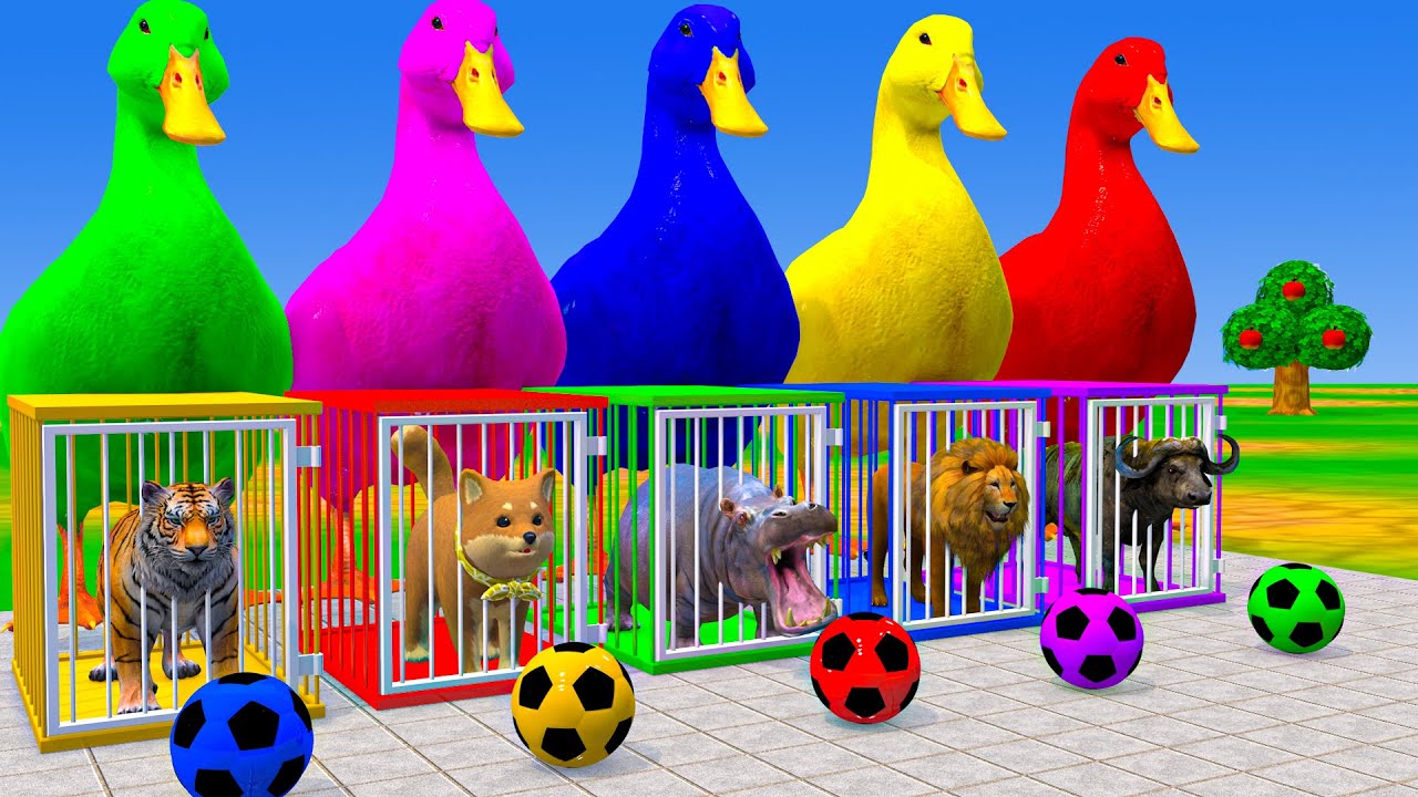 Long Slide Game With Cow Elephant Gorilla Hippopotamus Tiger 3d Animal Game Funny 3d Animals