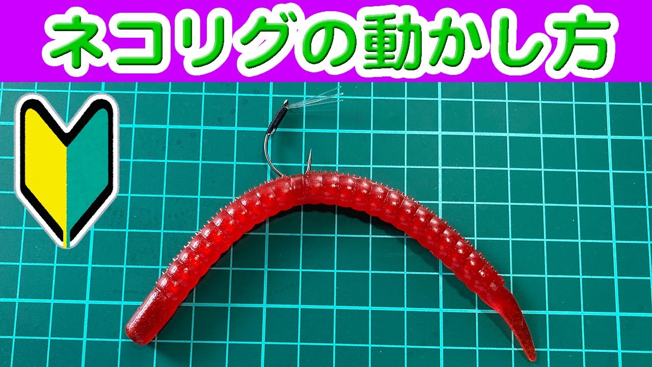 ネコリグ（ワッキーリグ）の動かし方（セッティング、フックの刺し方）