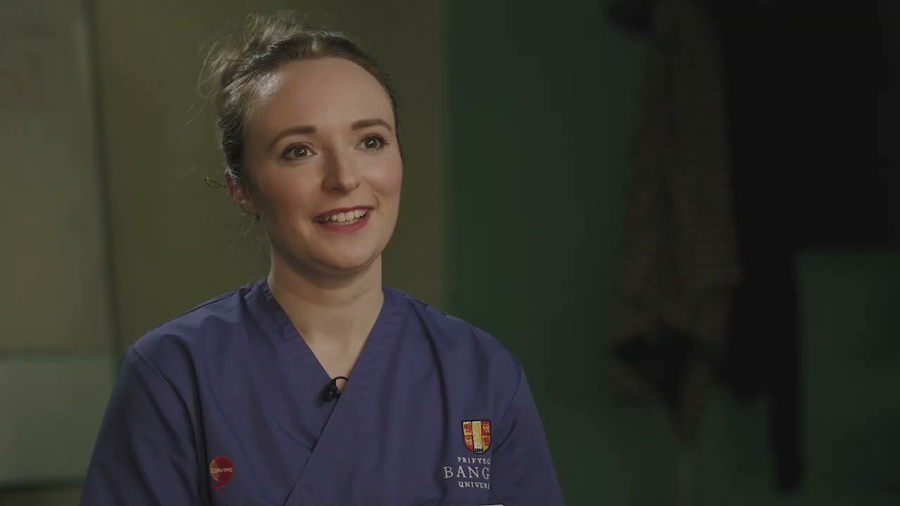 Careersville | Tregyrfa: Bangor University - the use of Welsh language in student placements