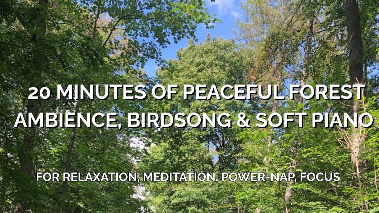 20 Minutes of Relaxing Piano & Peaceful Forest Atmosphere | Deep Relaxation, Power Nap, Meditation