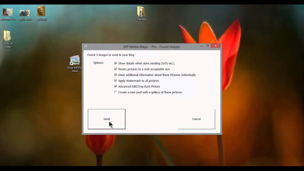 WP Image Magic