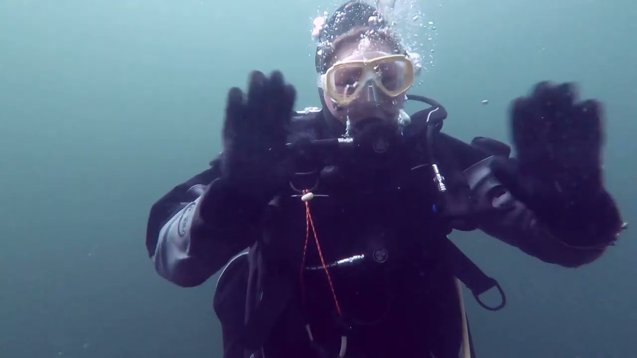 Loch Long Scotland 'A' Frames Dive site 27 08 23. #DiveWithBSAC