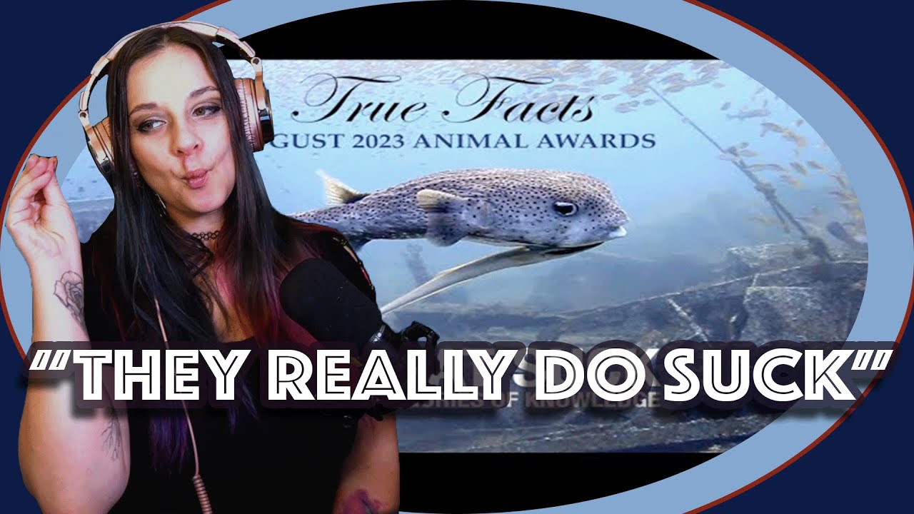 Bartender Reacts True Facts: Fish that Suck by Ze Frank *They really DO suck!*