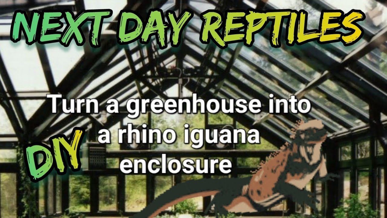 Turning a green house into a Rhino iguana enclosure