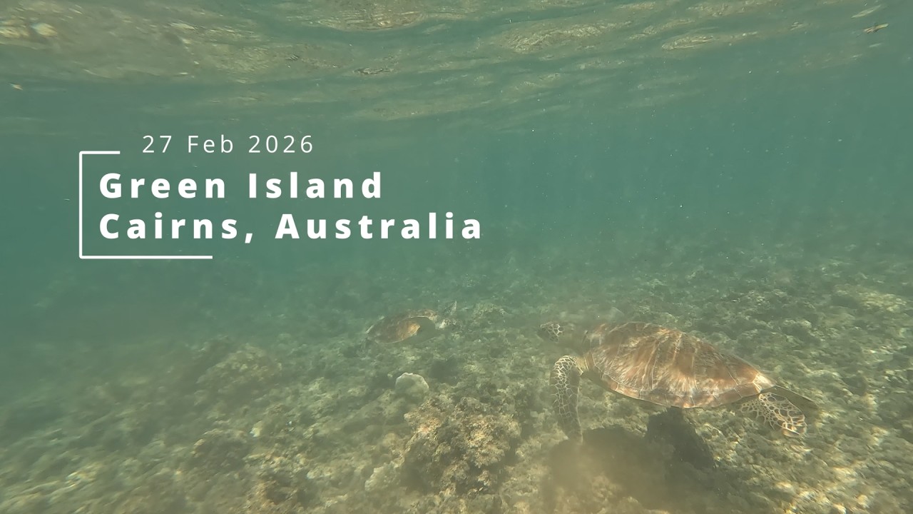 Snorkeling at Green Island Cairns | Great Barrier Reef 27 February 2025