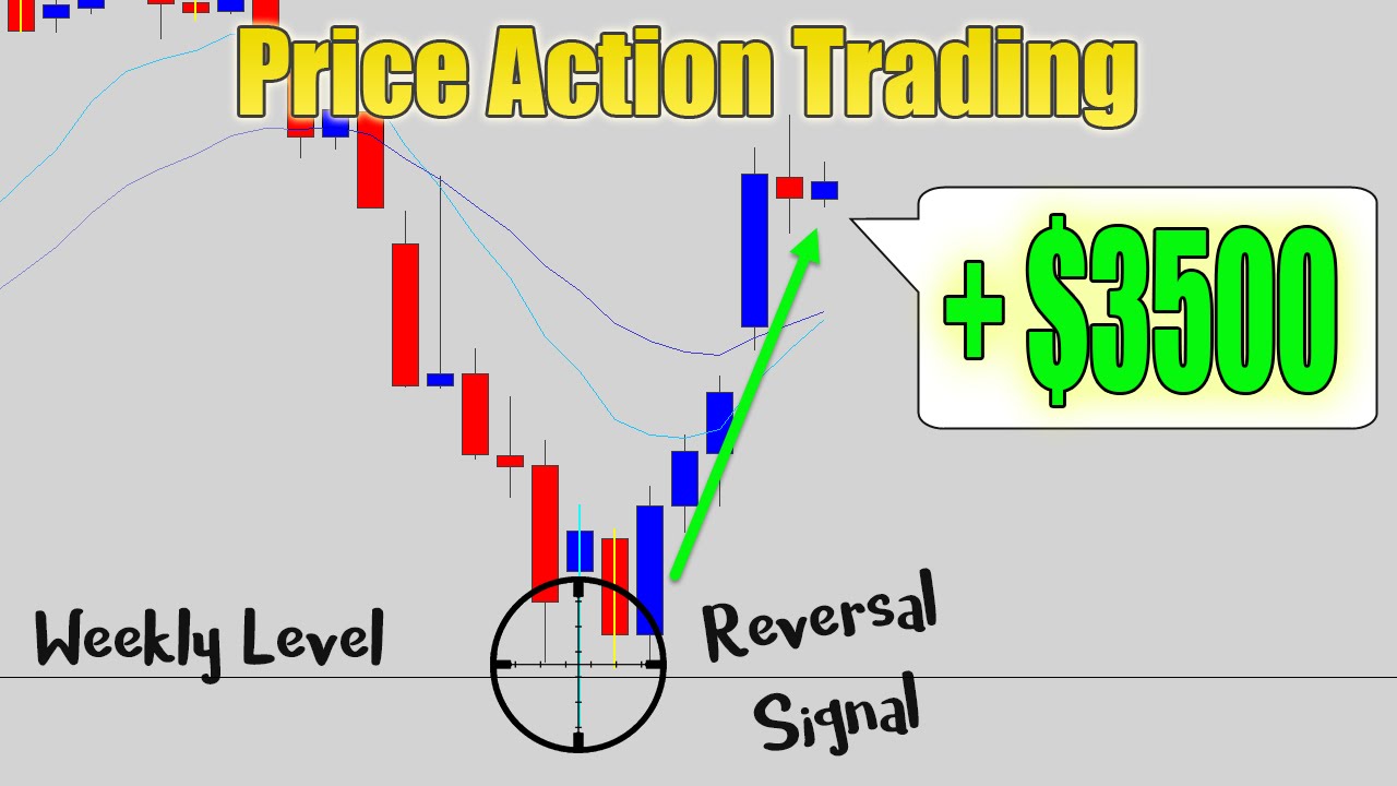 +$3500! How to Identify Counter Trend Trading Signals With High Profit Potential