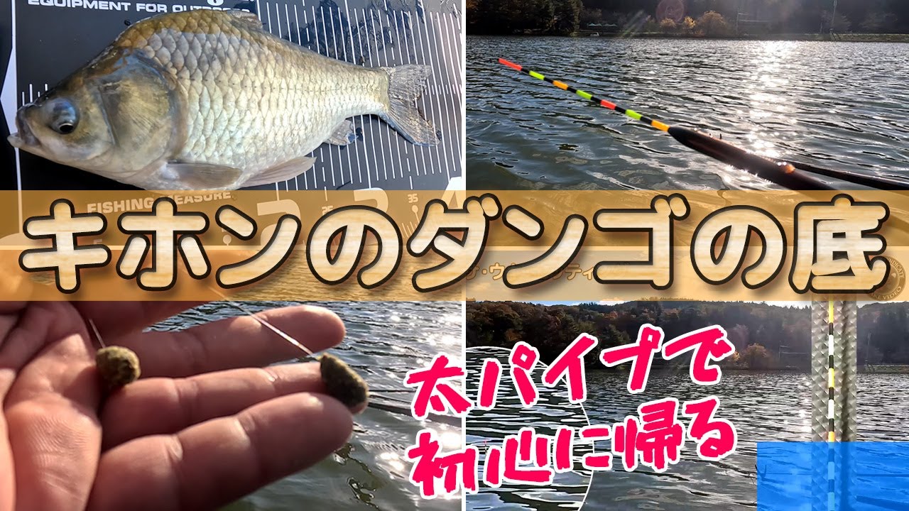 【ナジんで戻してツン！】晩秋はダンゴで底のアタリを堪能します