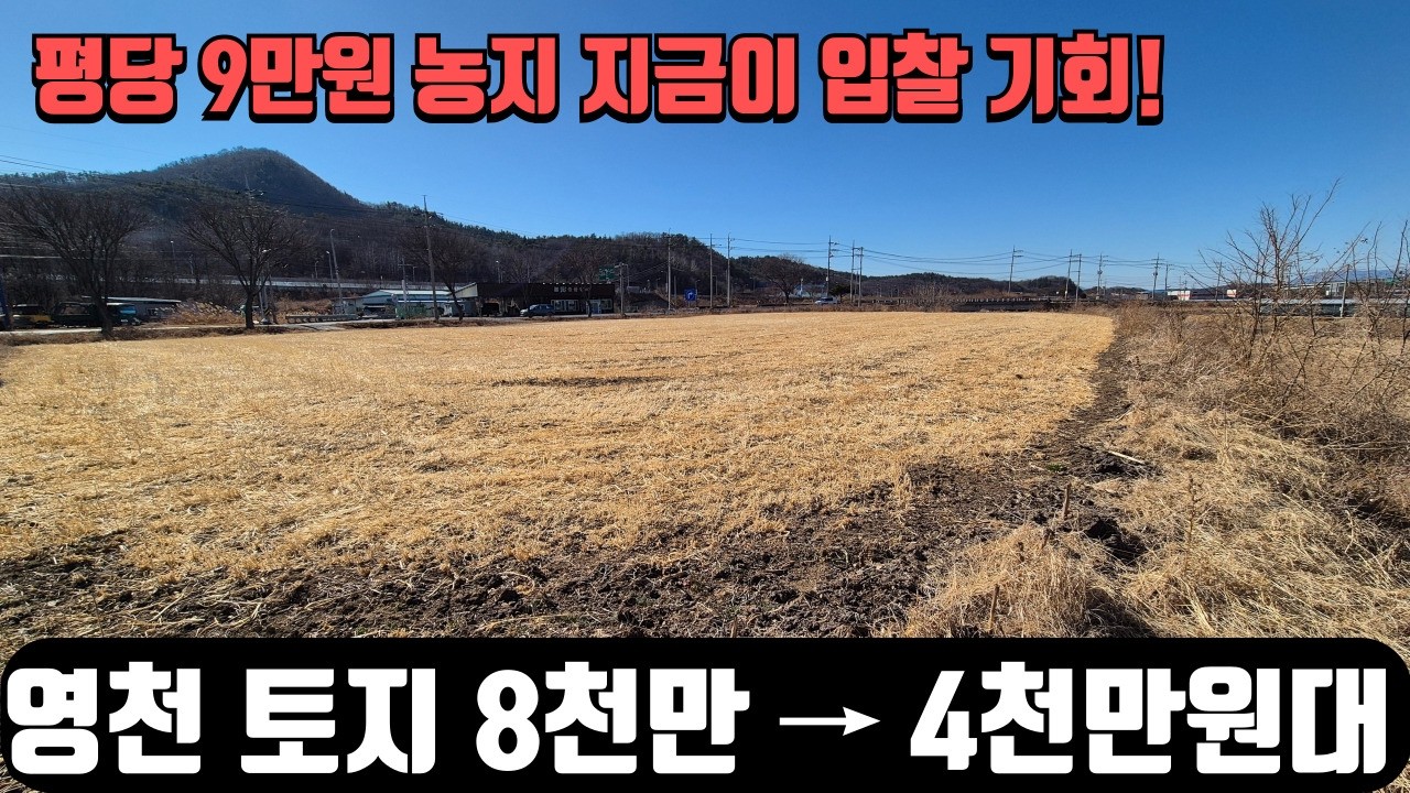 평당 9만원 465평 토지로 나도 농지연금 받아보자