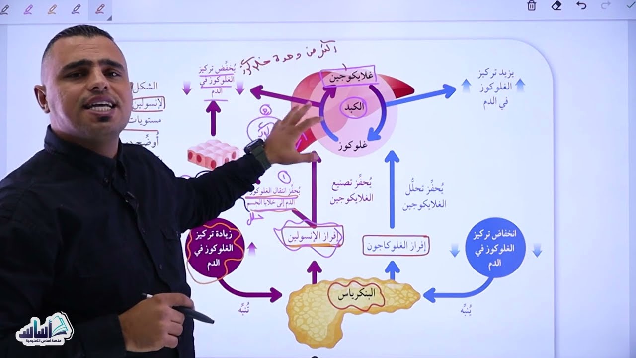 012 الحصة الأولى || ⛔️ الأول ثانوي جيل 2007 ||  الدرس الثالث  || ( غدد الصم ) الاتزان الداخلي (1)🧠🧬