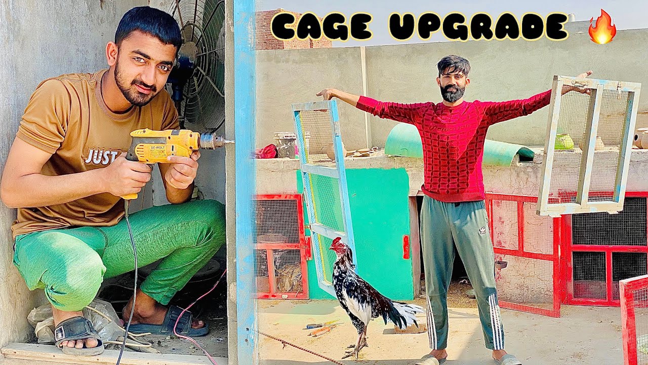 DIY Cage Project Complete! 🛠️ Dekho Final Look😍