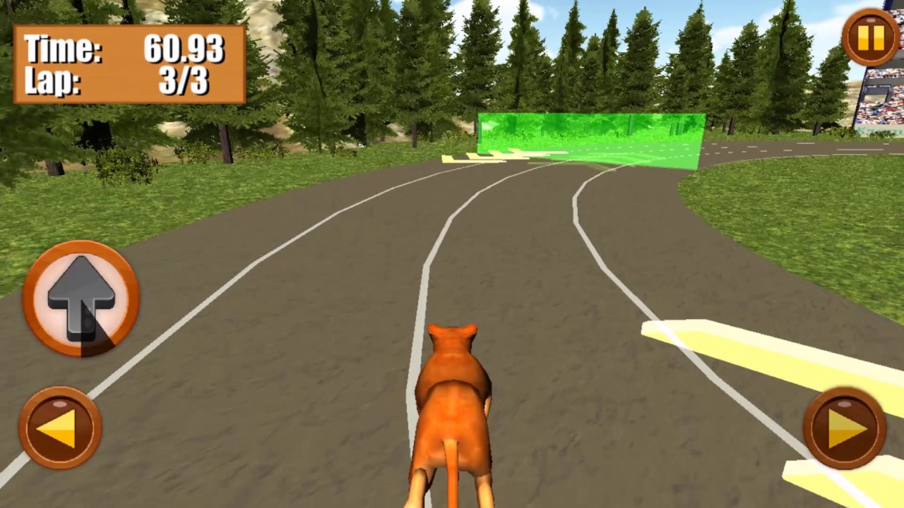 Wild Animal Racing Fever 3D HD Gameplay Android/IOS