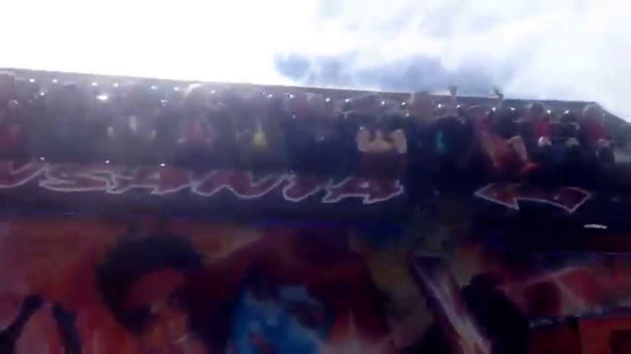 Insania ride