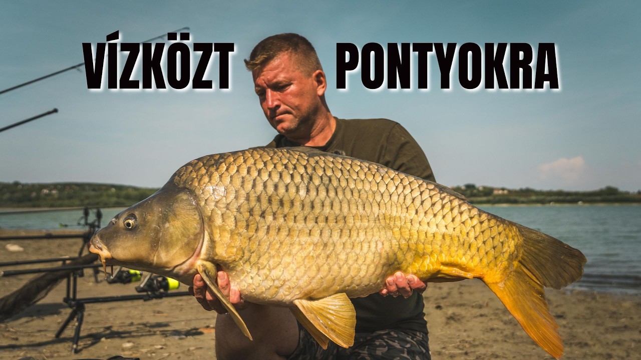 KEVESET használt, DE nagyon EREDMÉNYES pontyfogó technika 