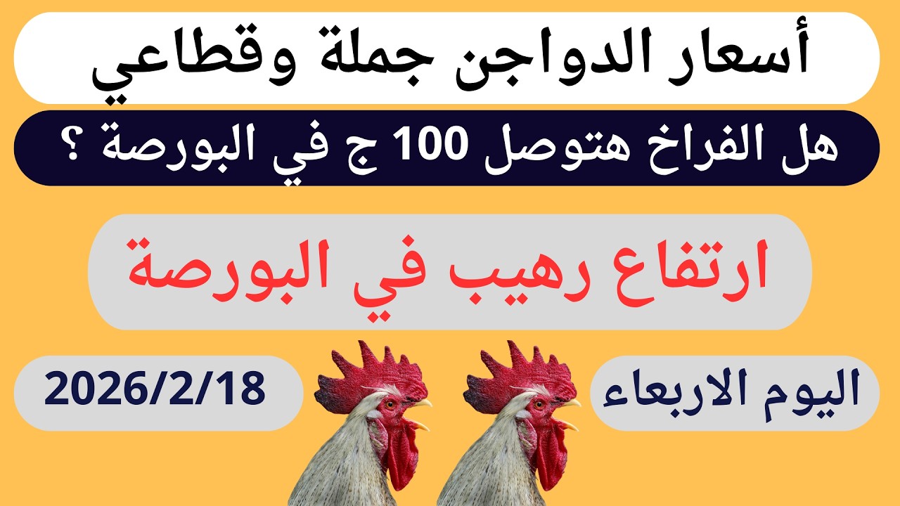 انخفاض أم ارتفاع؟ أسعار الفراخ البيضاء اليوم الأربعاء 2026/2/18 في مصر | سعر بورصة الدواجن اليوم