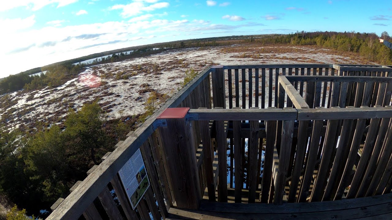 #exploring - Koigi bog hiking trail