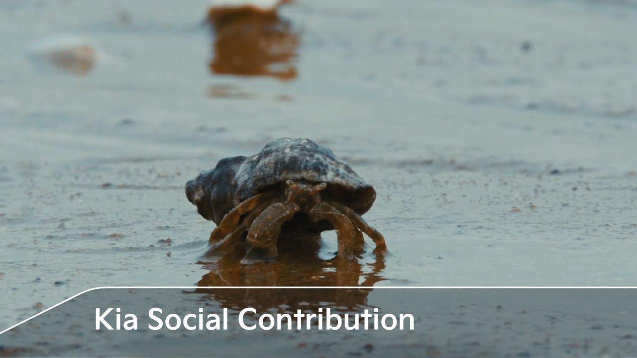 Kia Social Contribution