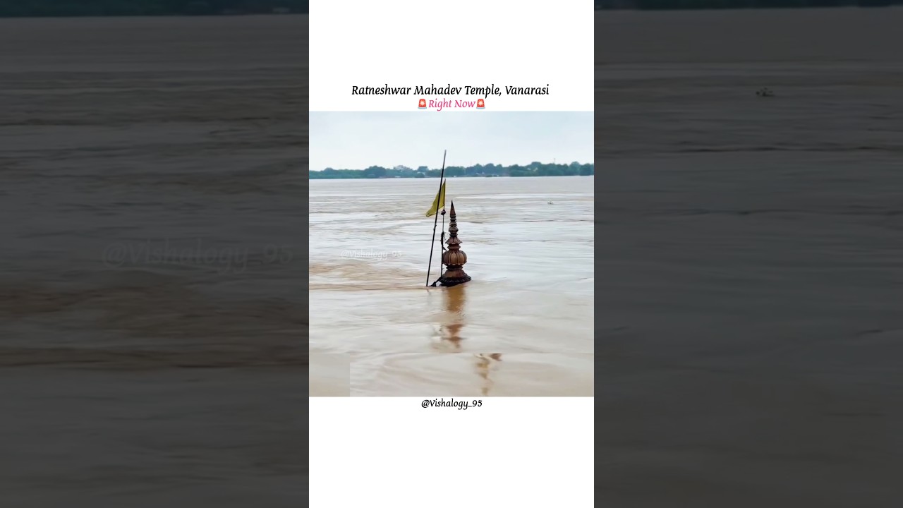 Varanasi right now🚨🙏 #vishalogy_95 #ganga #ratneshwar #varanasighats #india #monsoon #flood